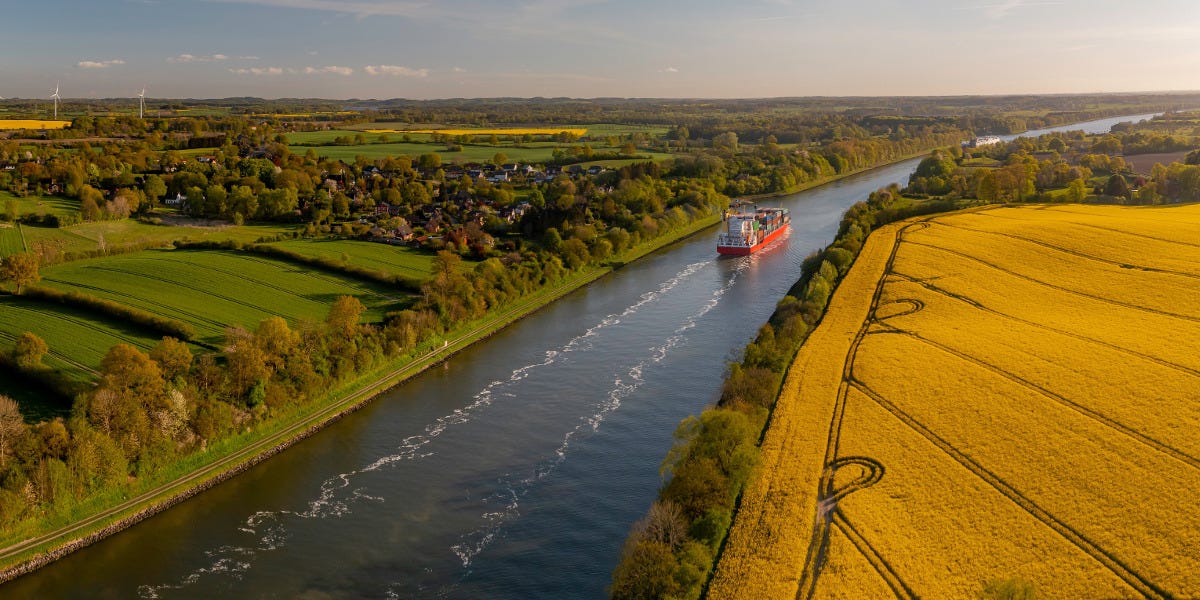 Aquatic Weeds in Canals