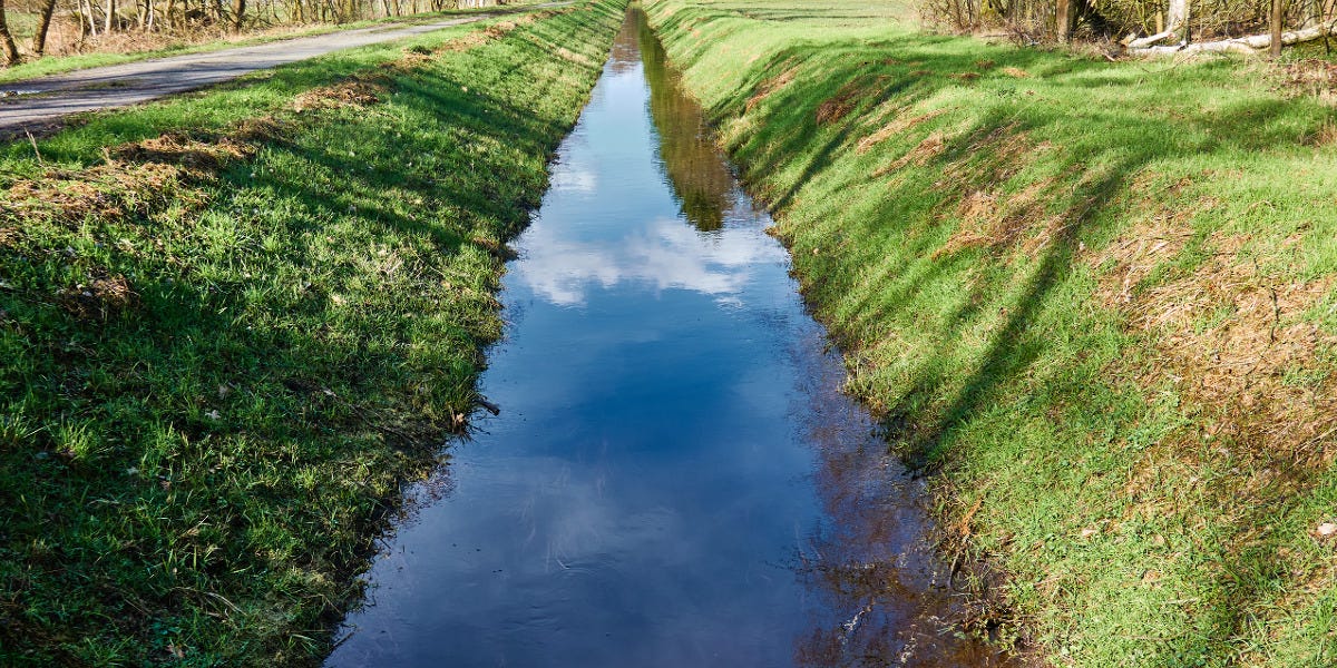 Aquatic Weeds in Drainage Ditches