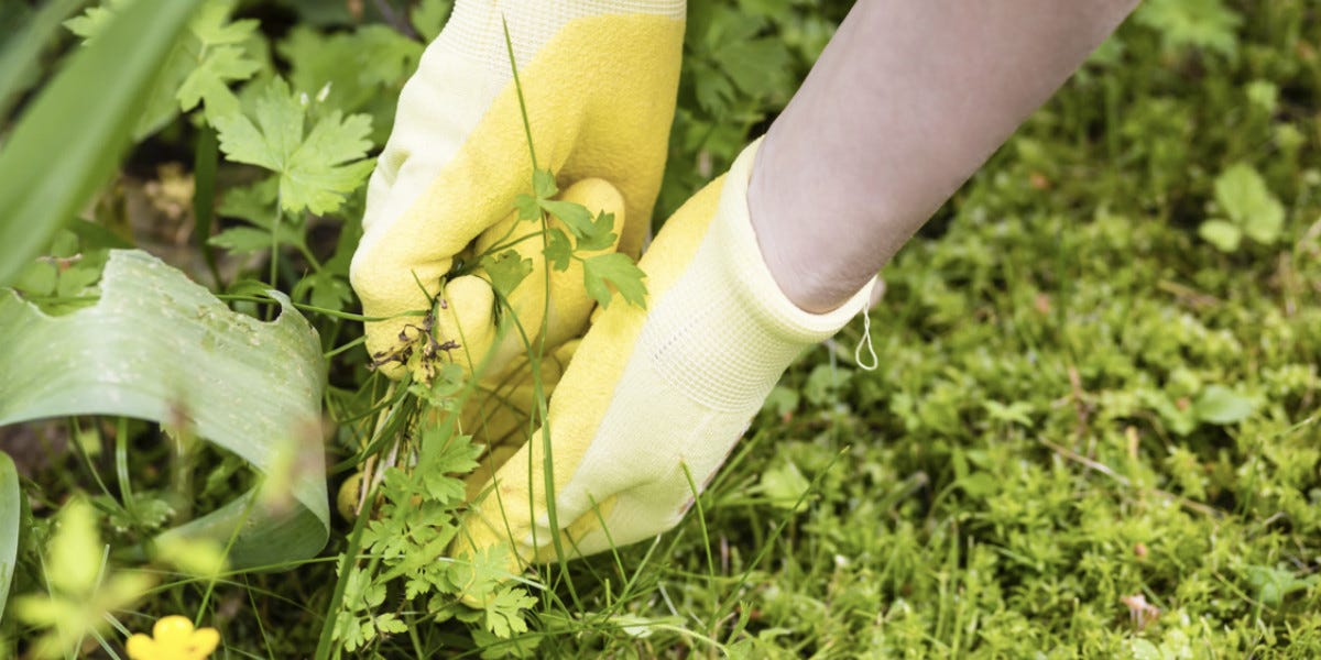 Restrictive States Weed Control