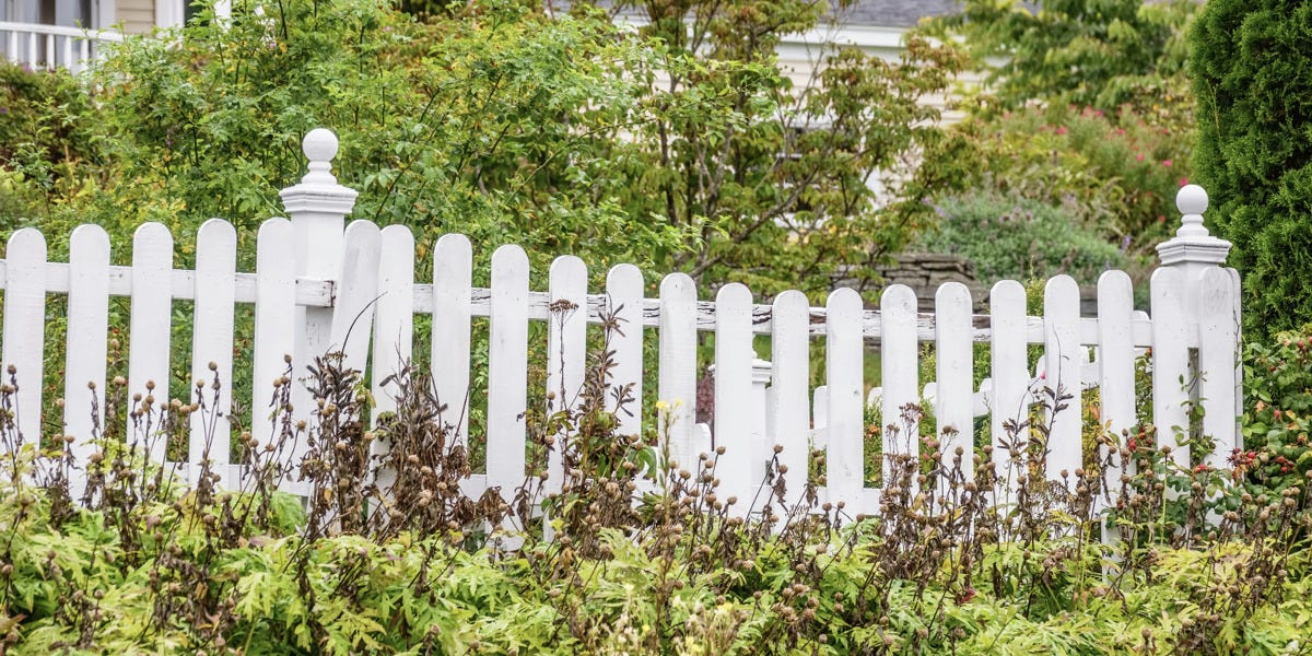 Weeds in Fenceline