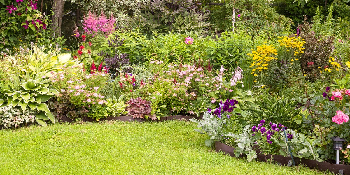 Common Pests in Flower Beds and Ornamentals