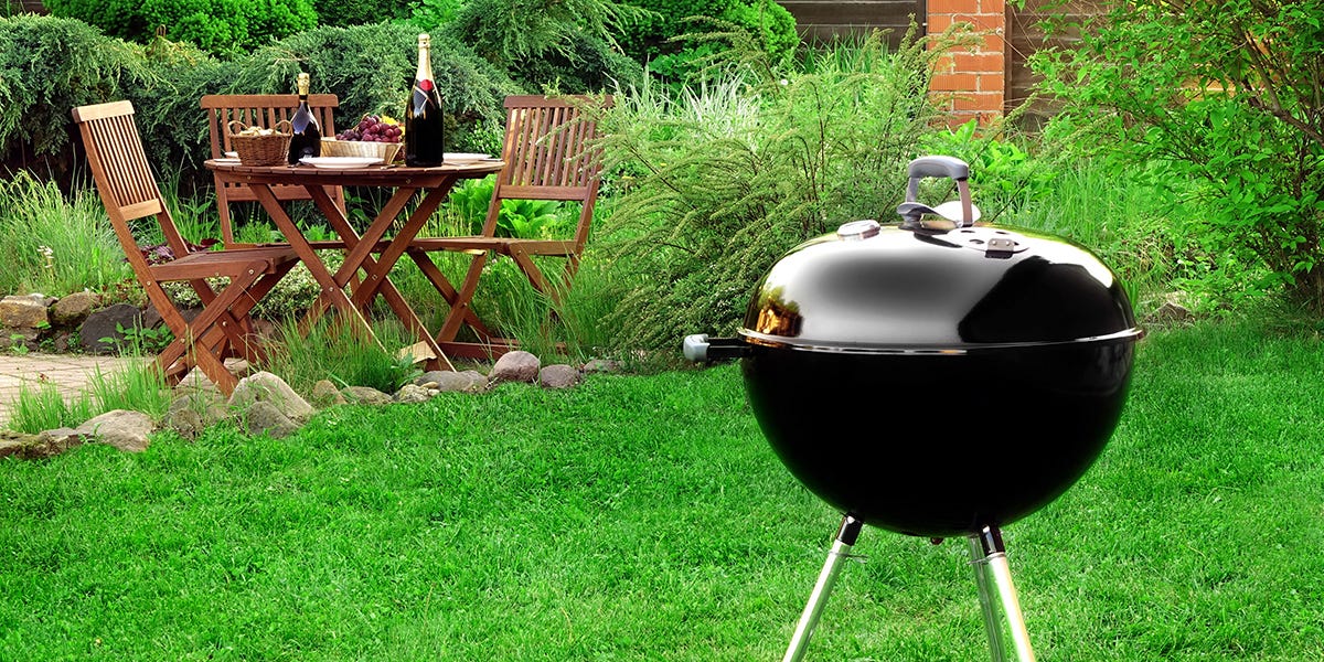 Solutions for a Pest-Free Summer BBQ
