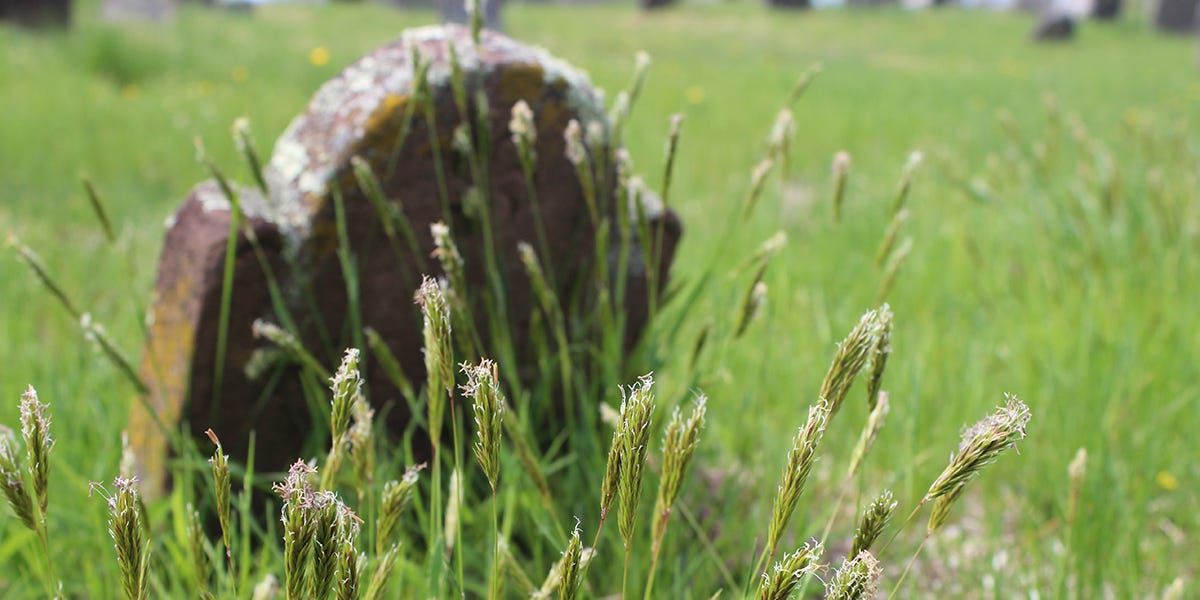 Cemetery Weed Control