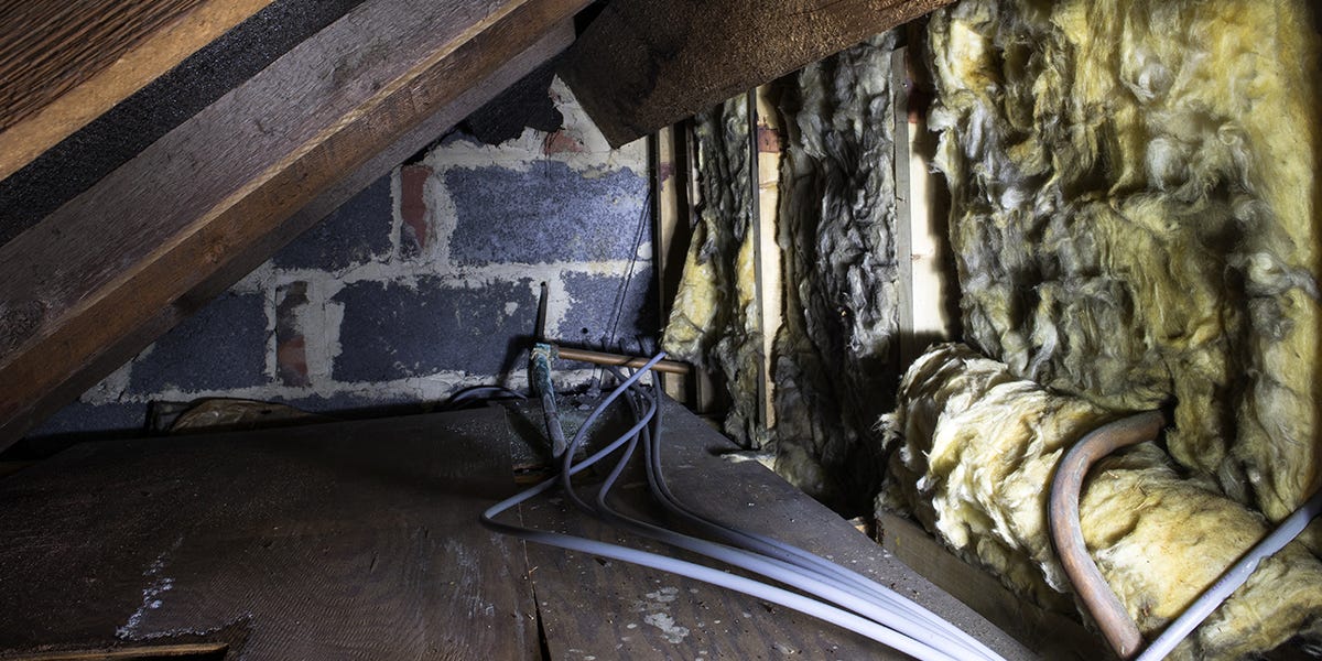 Crawl Space Pest Control Tips