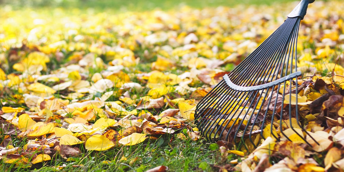 Fall Lawn Care Myths