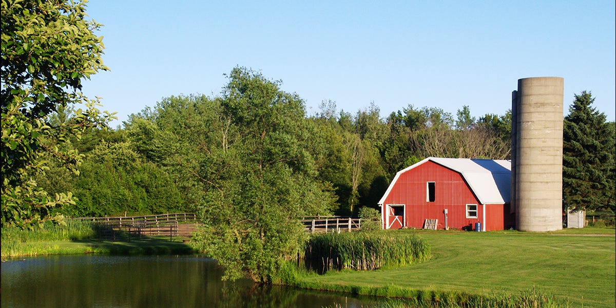 How to Get Rid of Rats and Mice in Your Barn How to Get Rid of Rats and Mice in Your Barn
