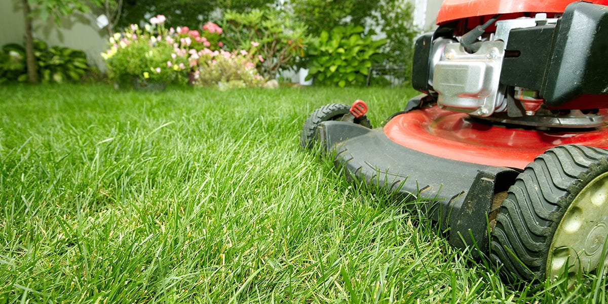Mowing Tips For A Thicker Lawn