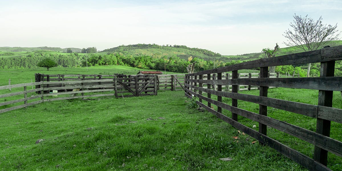 Range & Pasture