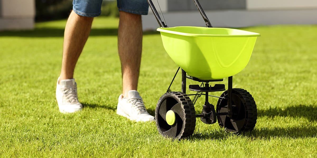 How to Reseed a Lawn in Summer