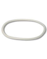 Birchmeier Lid Gasket