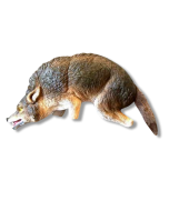 Bird-X 3-D Coyote Model To Repel Animals