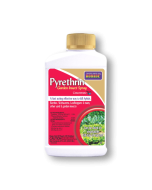 Bonide Pyrethrin Garden Insect Spray Concentrate