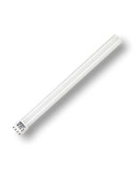 Brandenburg CFL Standard Bulb