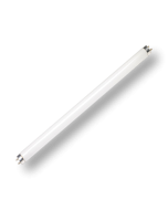 Brandenburg T12 Shatterproof Bulb 