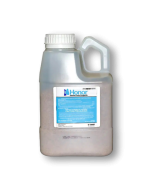 Honor Intrinsic Brand Fungicide