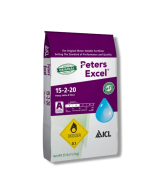 Peters Excel 15-2-20 Pansy