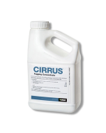 Cirrus Fogging Concentrate