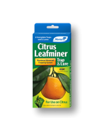 Monterey Citrus Leafminer Trap and Lure