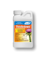 Monterey Thistledown