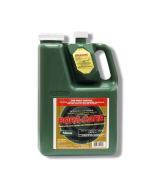 Bora-Care with Mold Care wood treatment solution in green container