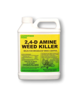 Southern AG 2,4-D Amine Weed Killer