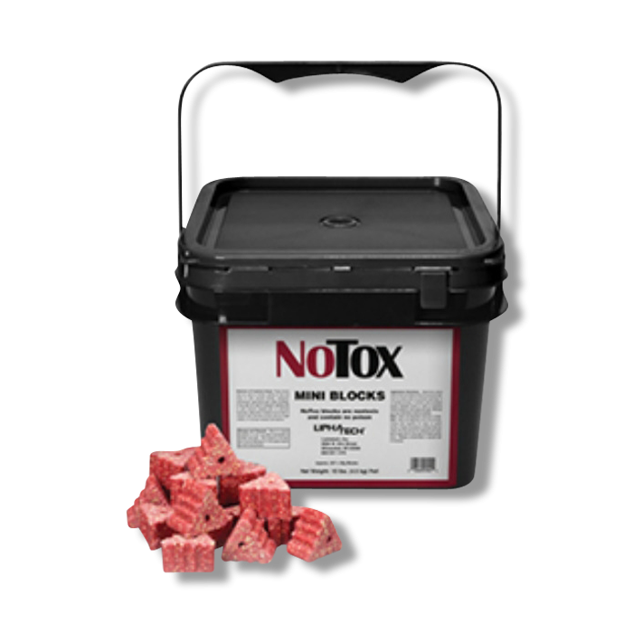 NoTox Mini Blocks
