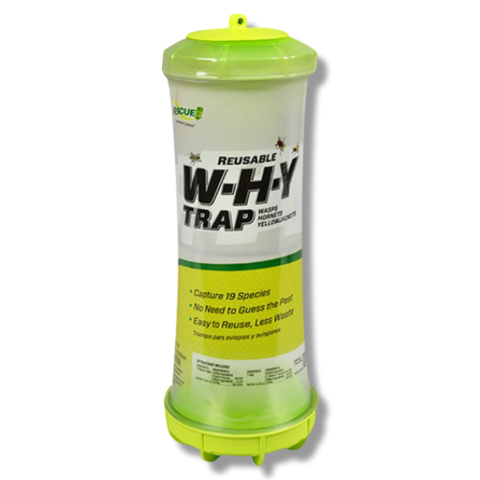 Rescue! WHY Trap For Wasps