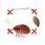 PT Alpine Flea & Bed Bug Aerosol Breaks The Flea Life Cycle