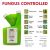 Which  fungus does Patch Pro fungicide treat