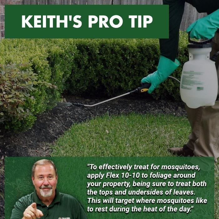 Flex 1010 Insecticide Indoor and Outdoor Insect Killer