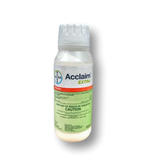 Acclaim Extra