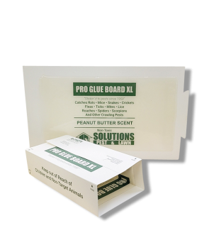 Solutions Pro Rat Glue Board XL - Peanut Butter Scent