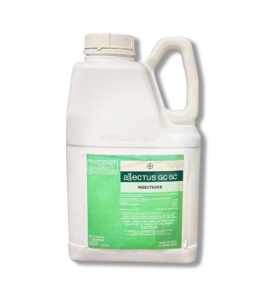 Allectus GC SC