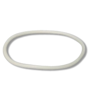 Birchmeier Lid Gasket