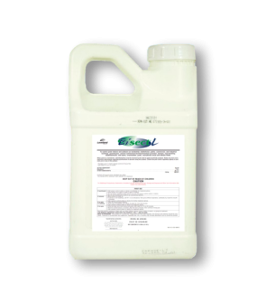 Bisect L Insecticide