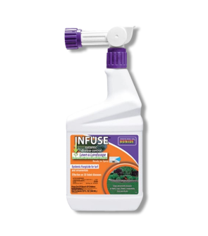 Infuse Systemic Disease Control Lawn & Landscape RTS