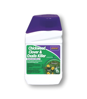 Bonide Chickweed, Clover, and Oxalis Killer Concentrate