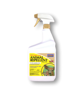 Bonide Hot Pepper Wax Animal Repellent RTU