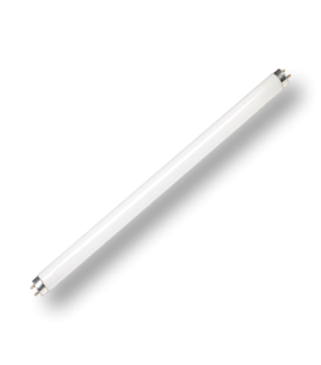 Brandenburg T12 Shatterproof Bulb