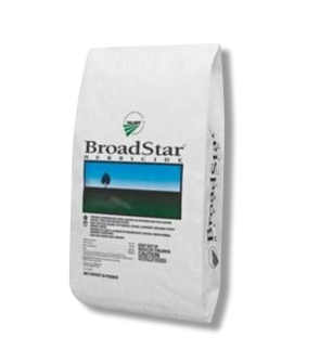 Broadstar Herbicide 
