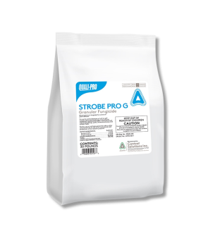 Strobe Pro G Granular Fungicide