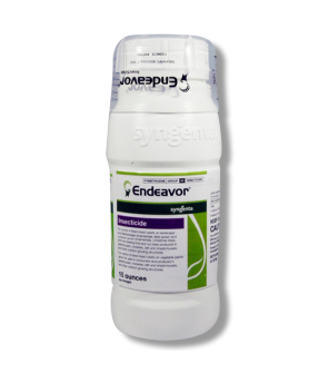 Endeavor Insecticide