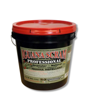 Iguana Scram Professional