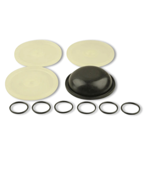Hypro D115 Diaphragm Pump Repair Kit