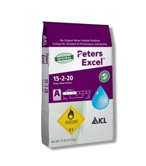 Peters Excel 15-2-20 Pansy