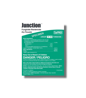 Junction