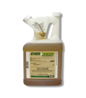 Evergreen Pyrethrum Concentrate