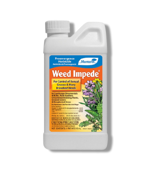 Monterey Weed Impede