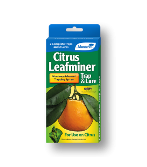 Monterey Citrus Leafminer Trap and Lure