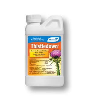 Monterey Thistledown